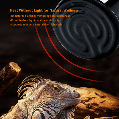 Ceramic Heater with Visual Indicator Light